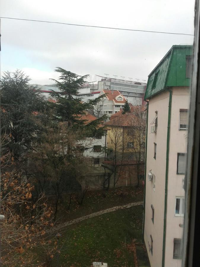 Pavlovic Apartman Βελιγράδι Εξωτερικό φωτογραφία