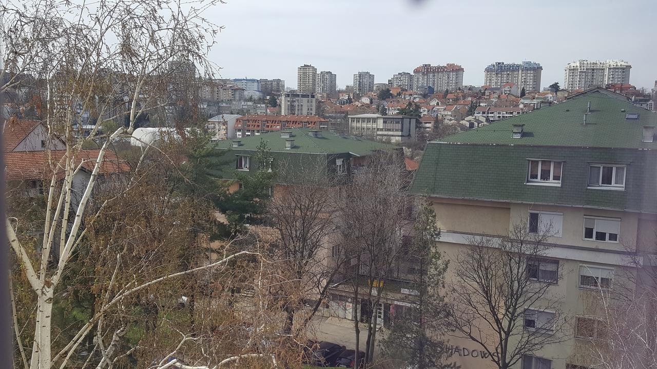 Pavlovic Apartman Βελιγράδι Εξωτερικό φωτογραφία